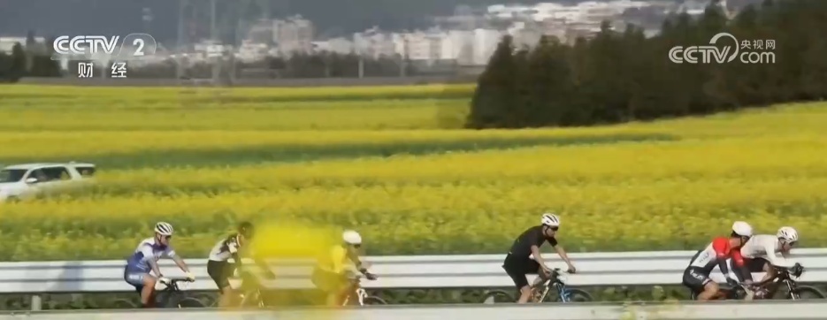 从“春日限定”到“四季长青” “花”文旅融合为乡村振兴“增色添香”