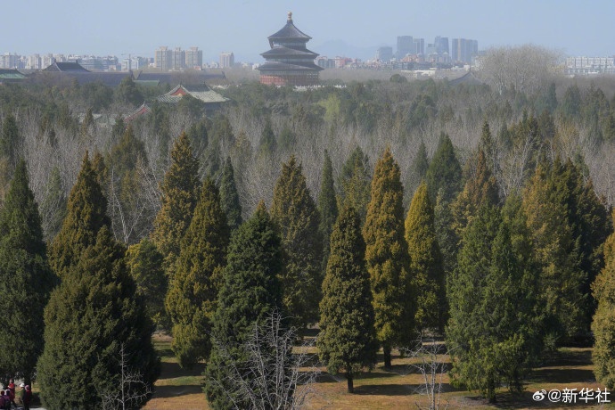 北京下周天气“回马枪”，最低3℃还有雨雪！小心感冒+花粉过敏！