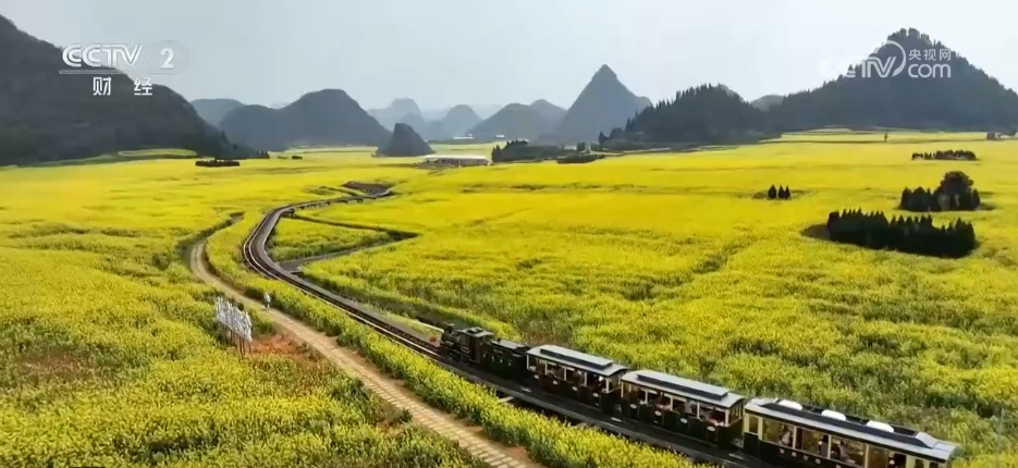 从“春日限定”到“四季长青” “花”文旅融合为乡村振兴“增色添香”