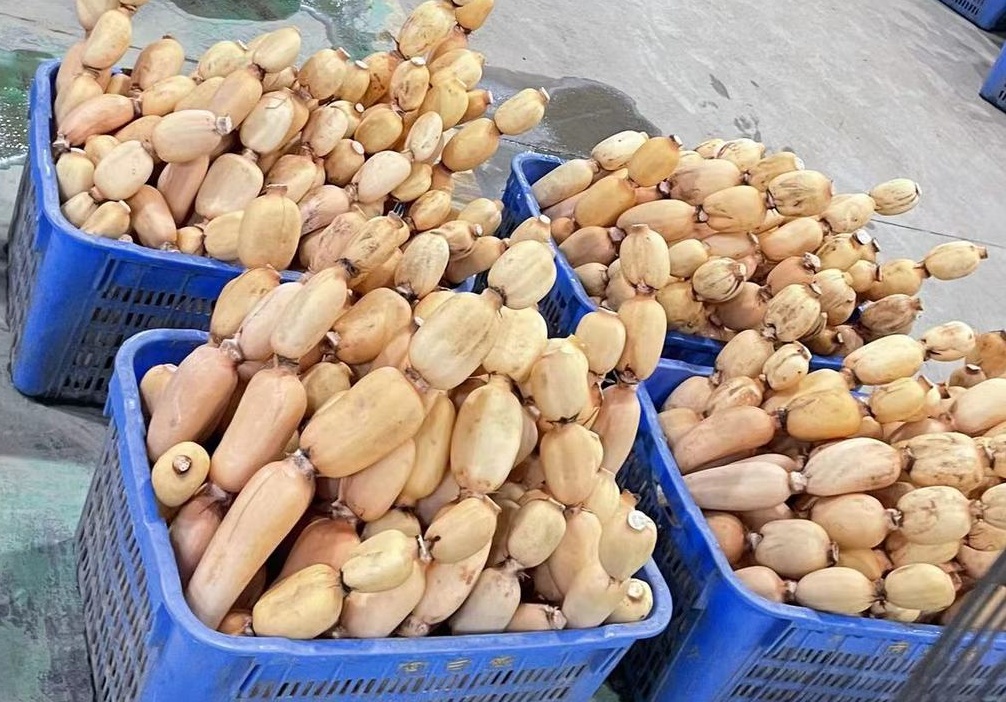 广东每年能“量产”多少小哪吒？