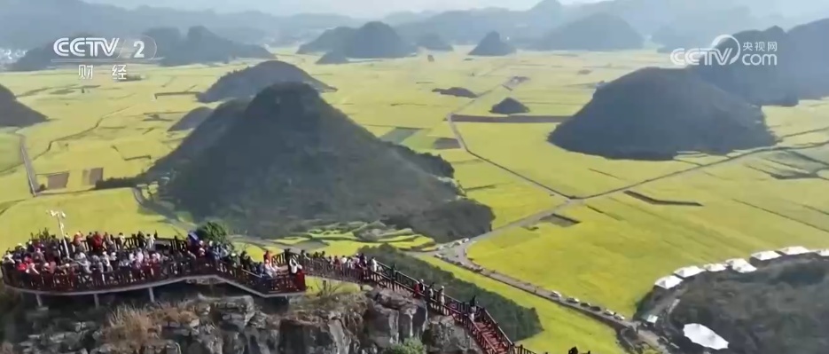 从“春日限定”到“四季长青” “花”文旅融合为乡村振兴“增色添香”