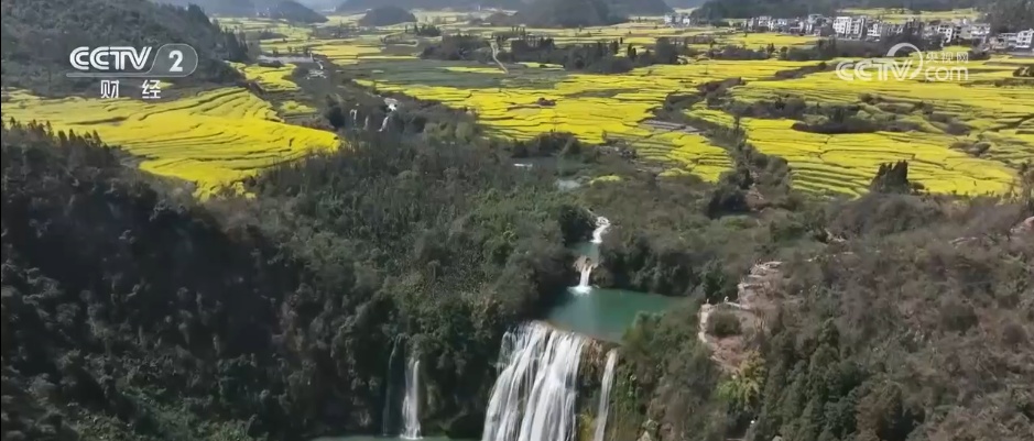从“春日限定”到“四季长青” “花”文旅融合为乡村振兴“增色添香”