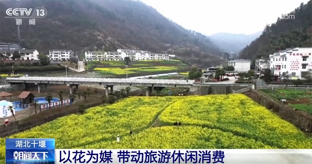 各地积极打造“赏花+”农文旅消费新场景 春日经济“花”样缤纷活力迸发 各地积极打造“赏花+”农文旅消费新场景 春日经济“花”样缤纷活力迸发