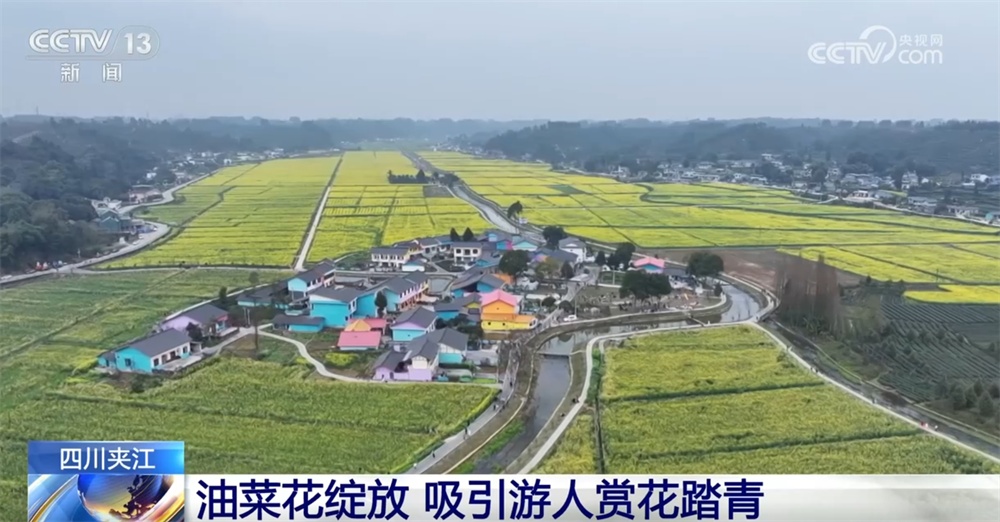 各地积极打造“赏花+”农文旅消费新场景 春日经济“花”样缤纷活力迸发 各地积极打造“赏花+”农文旅消费新场景 春日经济“花”样缤纷活力迸发