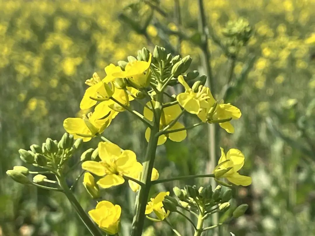暴降25℃！刚刚确认：杭州大反转！从这天开始......