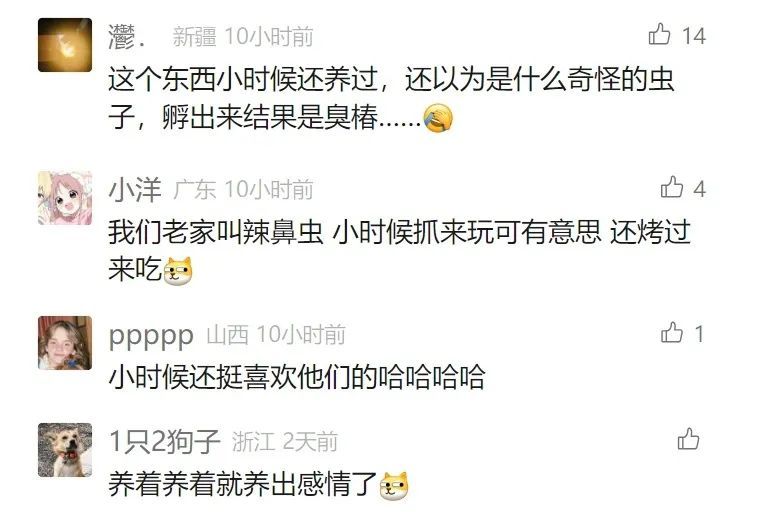 头皮发麻!女子被吓到尖叫…最近又到高峰期!很多人"中招",紧急提醒 头皮发麻!女子被吓到尖叫…最近又到高峰期!很多人"中招",紧急提醒