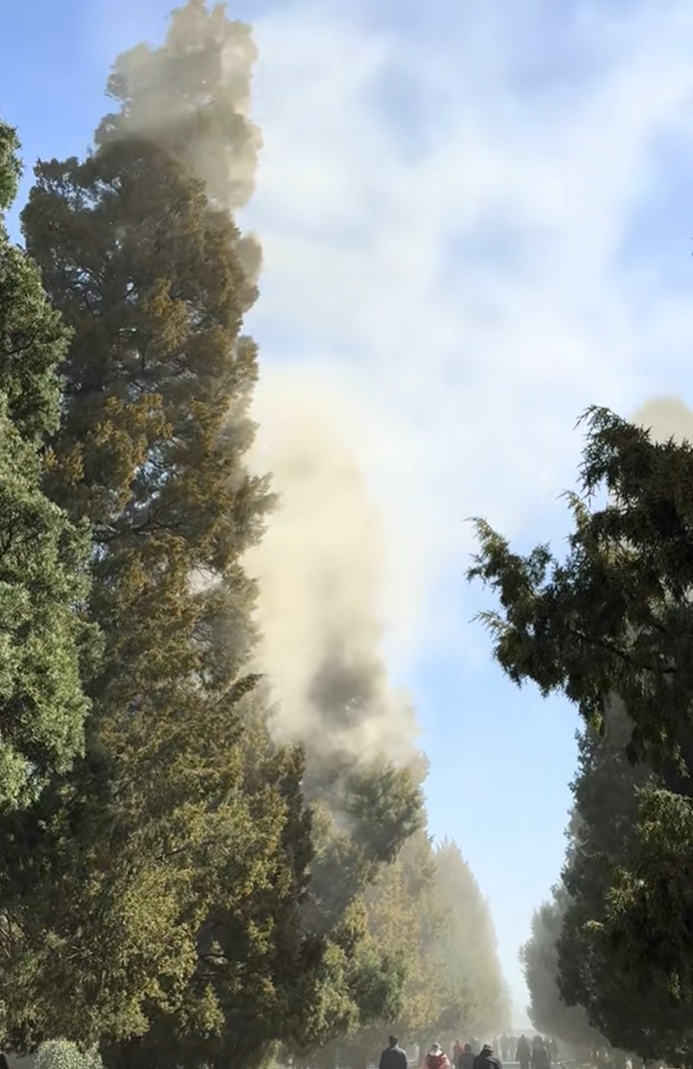 花粉似扬沙？“隔着屏幕都想打喷嚏！”一夜几百人进急诊，医生紧急提醒→