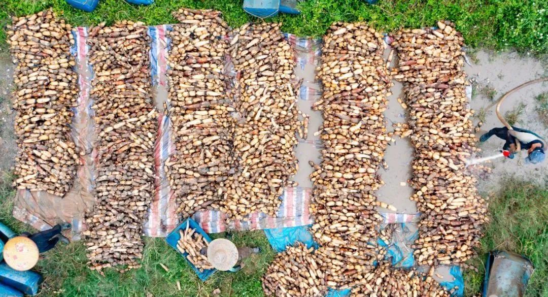 广东每年能“量产”多少小哪吒？