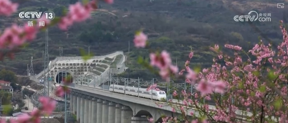 快闪、踏青、沉浸式……热度高！清明文旅市场一路繁花有“新”意