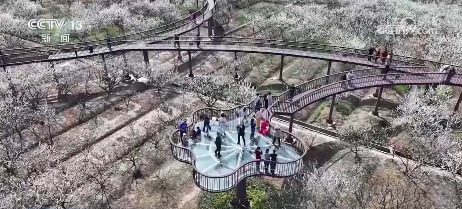 春赏花、夏榨油、秋收粮 “赏花+”扮“靓”经济新增长点 春赏花、夏榨油、秋收粮 “赏花+”扮“靓”经济新增长点