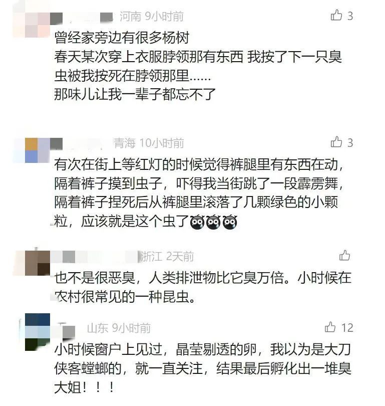 吓到尖叫！收衣服时多看了眼……最近又到高峰期，很多人中招！