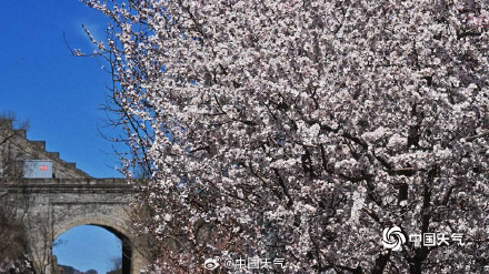 列车穿越花海 北京居庸关花海栈道开放