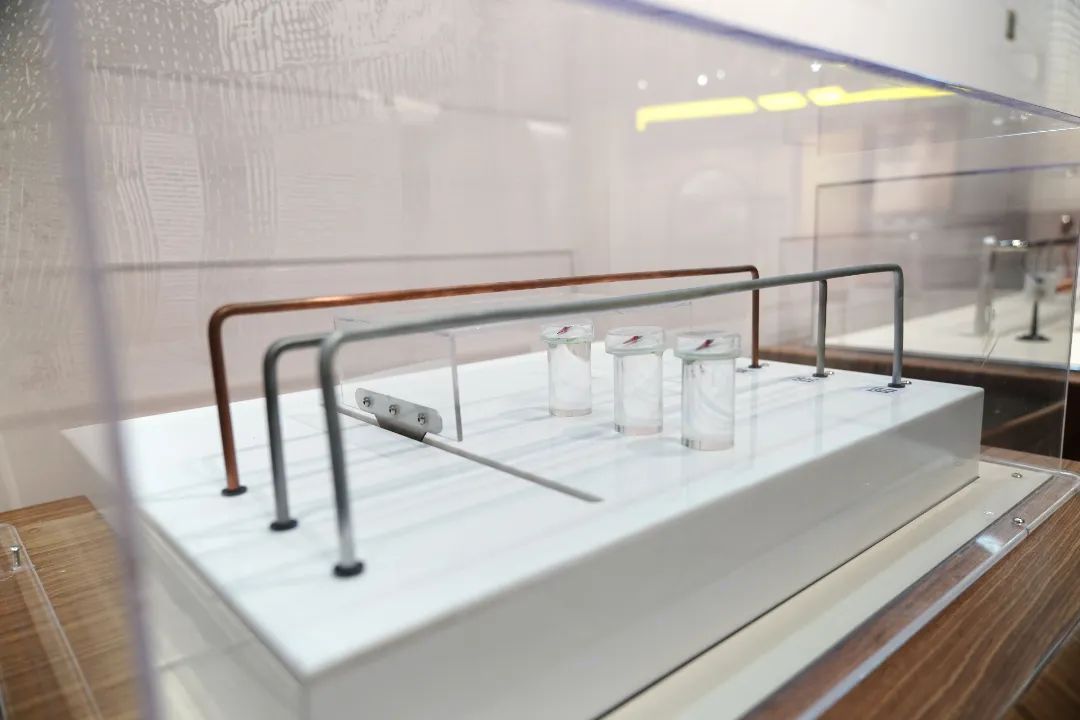 展项拾趣丨解锁电磁密码,探寻让列车悬浮的“魔法”力量! 展项拾趣丨解锁电磁密码,探寻让列车悬浮的“魔法”力量!