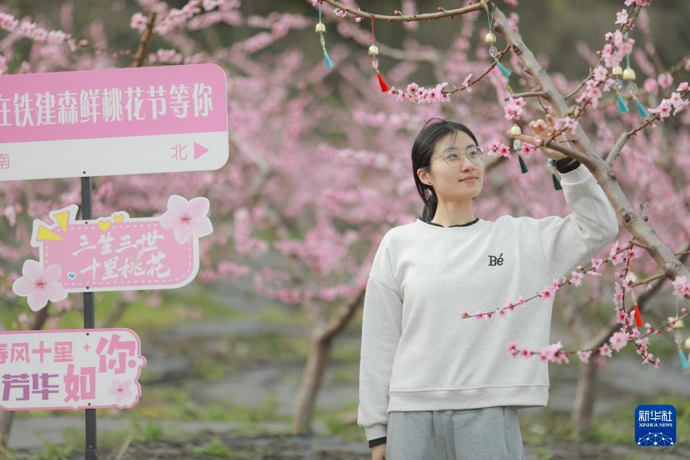 四川成都：龙泉山桃花满园