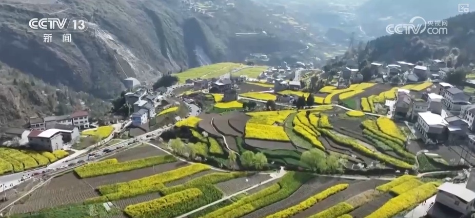 春赏花、夏榨油、秋收粮 “赏花+”扮“靓”经济新增长点 春赏花、夏榨油、秋收粮 “赏花+”扮“靓”经济新增长点