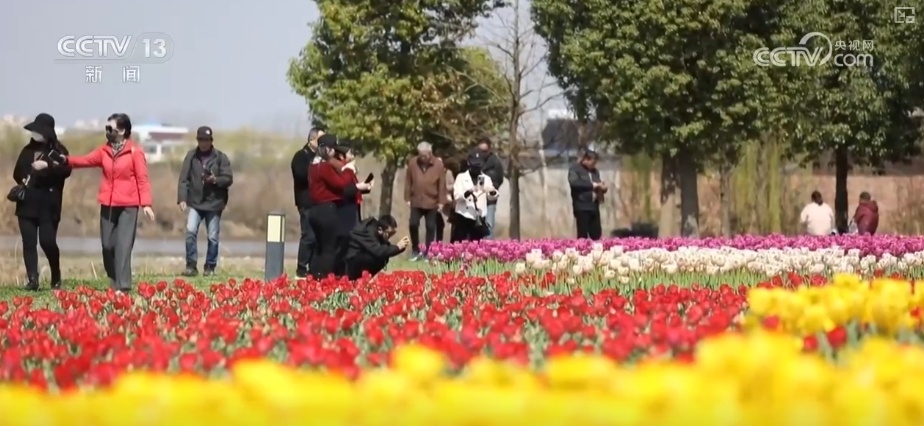 春赏花、夏榨油、秋收粮 “赏花+”扮“靓”经济新增长点 春赏花、夏榨油、秋收粮 “赏花+”扮“靓”经济新增长点