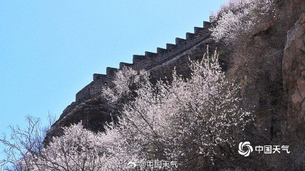 列车穿越花海 北京居庸关花海栈道开放