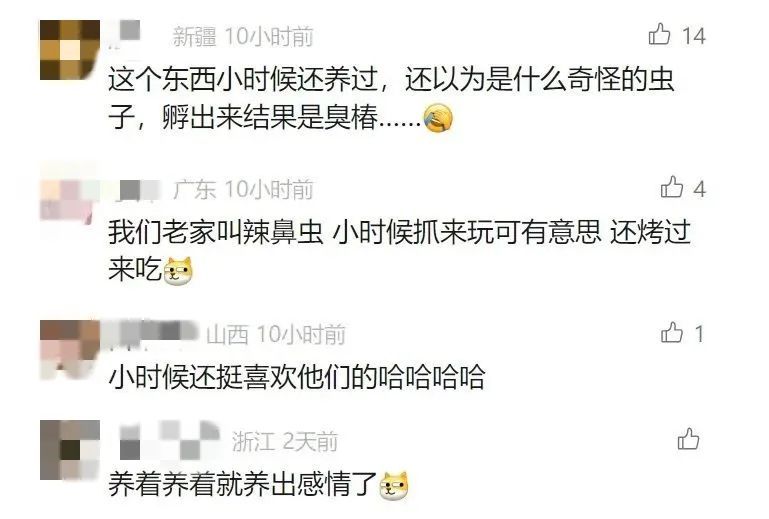 吓到尖叫！收衣服时多看了眼……最近又到高峰期，很多人中招！