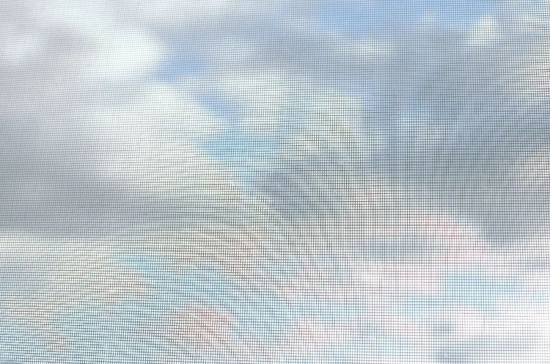 头皮发麻，江西很多人家中突然大量出现……提醒：千万别碰→