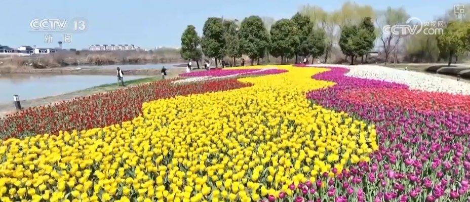春赏花、夏榨油、秋收粮 “赏花+”扮“靓”经济新增长点 春赏花、夏榨油、秋收粮 “赏花+”扮“靓”经济新增长点