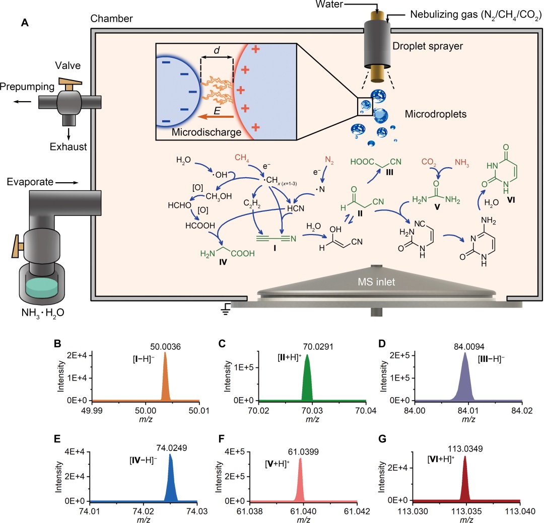 新研究：海浪拍岸的微小电火花，可能是地球生命起源的火种！
