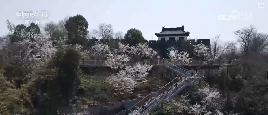 春赏花、夏榨油、秋收粮 “赏花+”扮“靓”经济新增长点 春赏花、夏榨油、秋收粮 “赏花+”扮“靓”经济新增长点