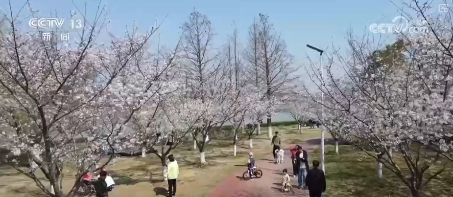 春赏花、夏榨油、秋收粮 “赏花+”扮“靓”经济新增长点 春赏花、夏榨油、秋收粮 “赏花+”扮“靓”经济新增长点