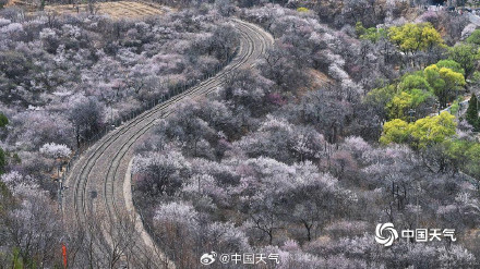 列车穿越花海 北京居庸关花海栈道开放
