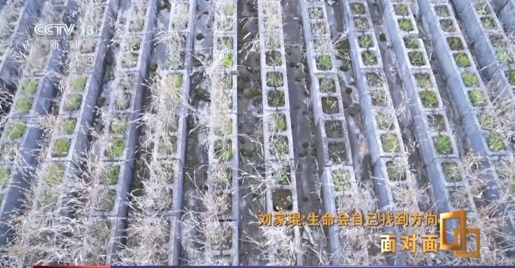 拿下建筑界“诺奖” 他用建筑书写诗和远方