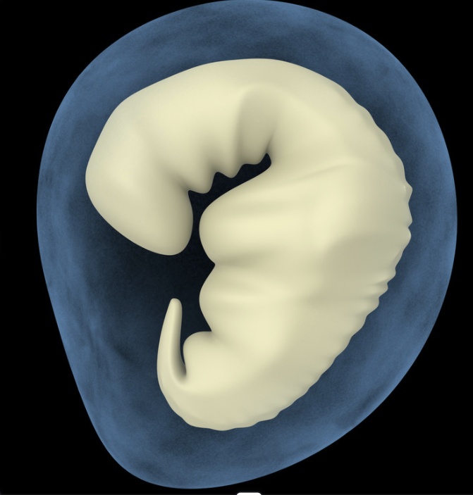 蝌学荐书 | 这本书可能救你的命：幽默有趣的人体维修指南