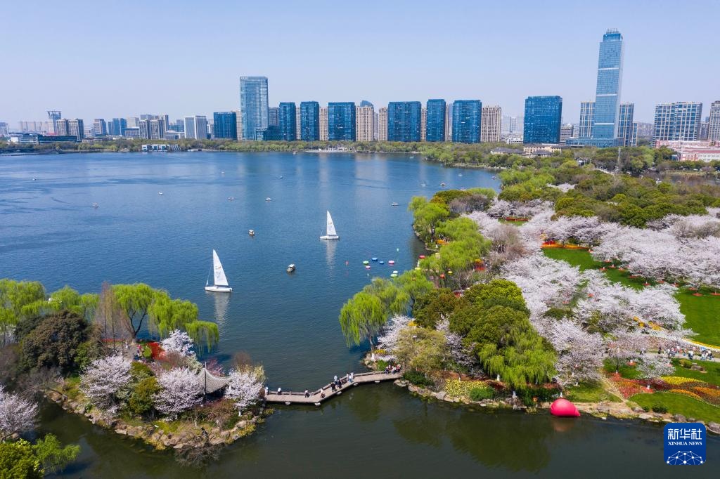 浙江绍兴：春季花海开启赏花热