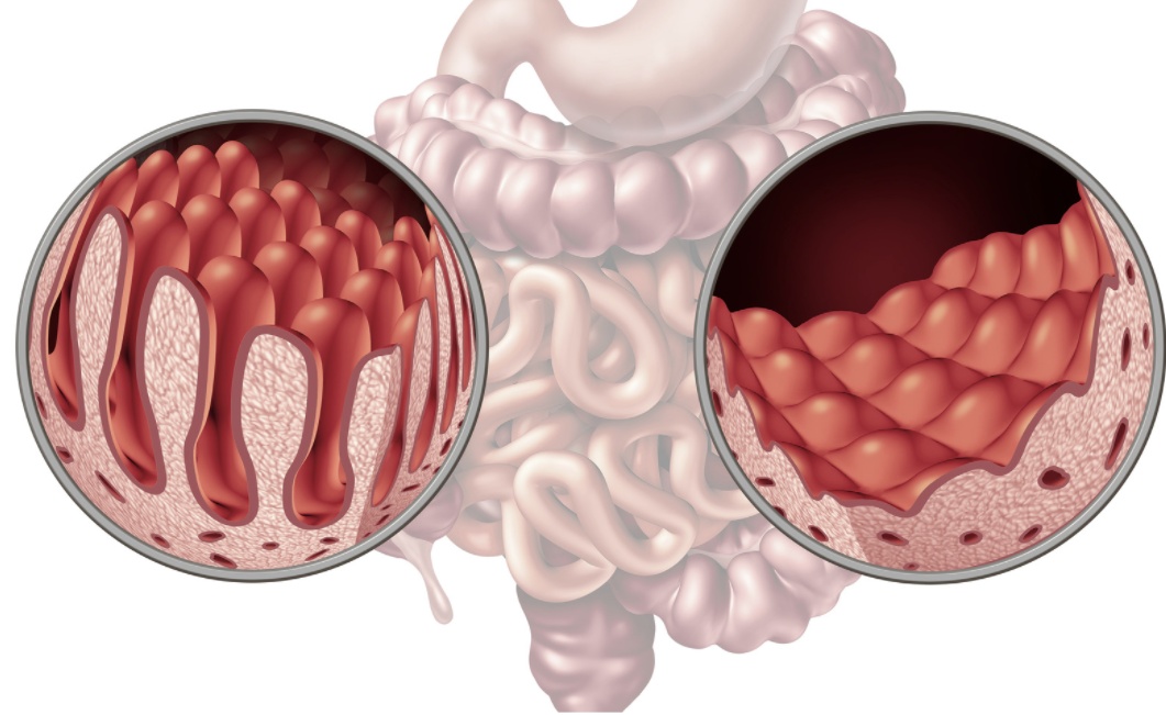 蝌学荐书 | 这本书可能救你的命：幽默有趣的人体维修指南