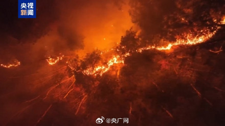 韩国多地林火持续已致4死 韩国多地林火持续已致4死