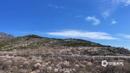 列车穿越花海 北京居庸关花海栈道开放