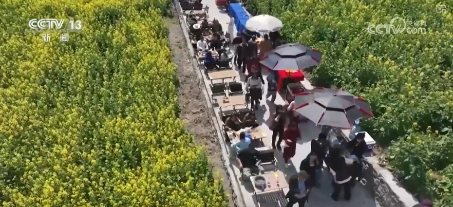 春赏花、夏榨油、秋收粮 “赏花+”扮“靓”经济新增长点 春赏花、夏榨油、秋收粮 “赏花+”扮“靓”经济新增长点