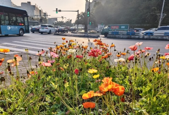 重庆最高温直冲31℃！后天雨又要来了