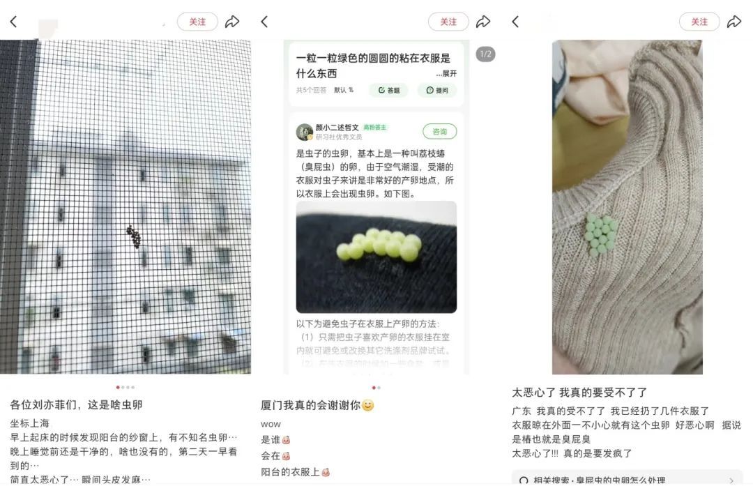 头皮发麻,女子被吓到尖叫!最近又到高峰期,很多人衣服上都有…... 头皮发麻,女子被吓到尖叫!最近又到高峰期,很多人衣服上都有…...