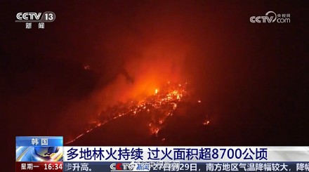 过火面积超8700公顷！韩国山火因强风来袭难以扑灭