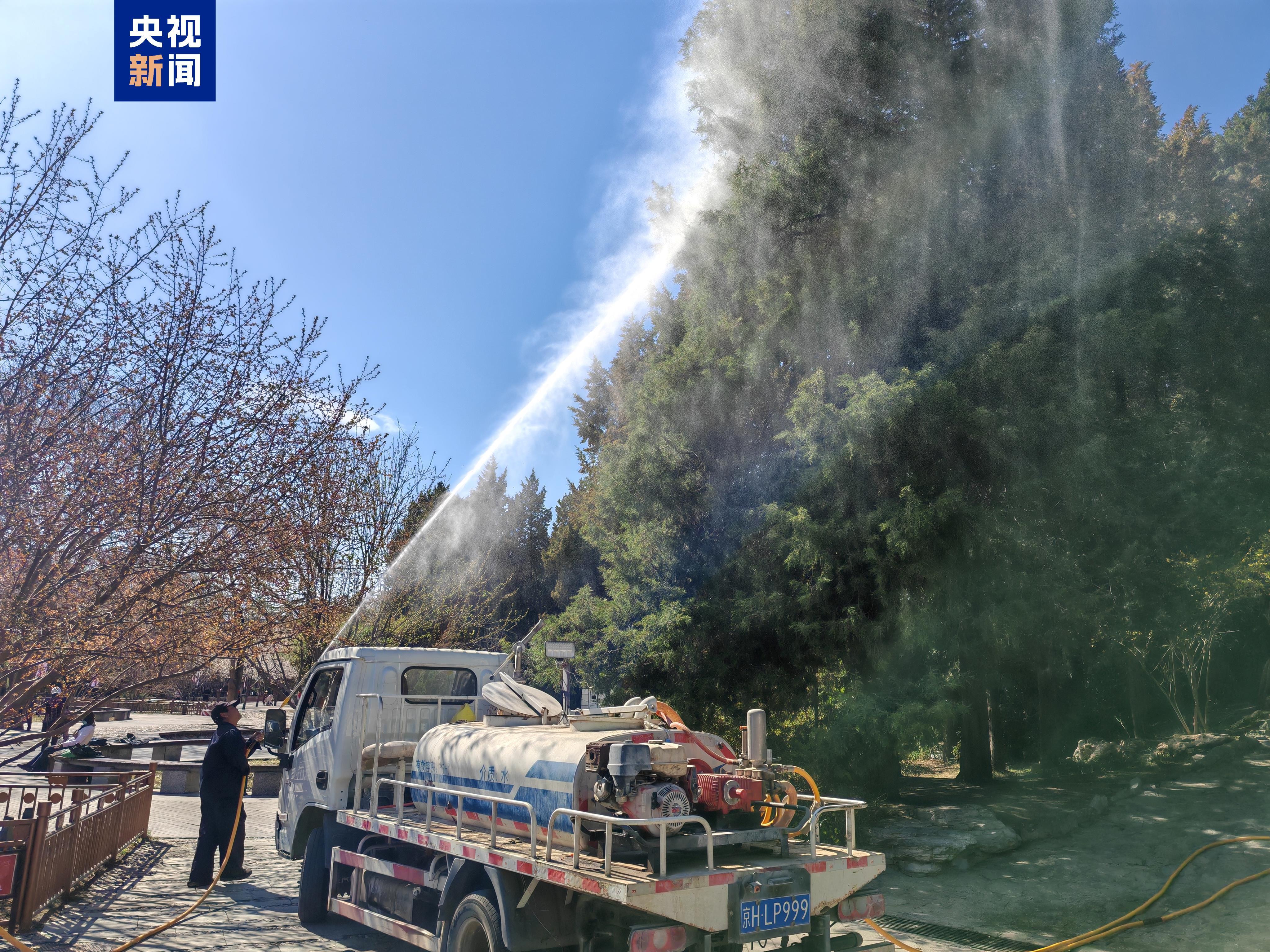 花粉过敏高发 北京的树每天要“冲3遍澡” 花粉过敏高发 北京的树每天要“冲3遍澡”