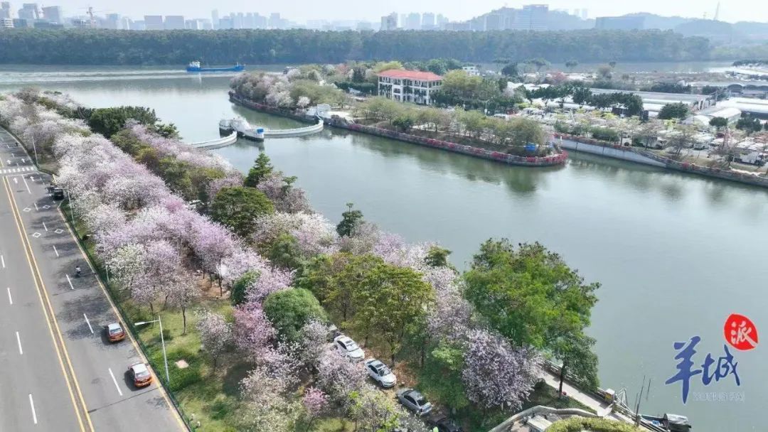广东多地已破30℃！寒潮又将来袭，本周末广州气温将降至……