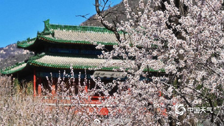 列车穿越花海 北京居庸关花海栈道开放