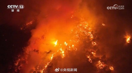 过火面积超8700公顷！韩国山火因强风来袭难以扑灭