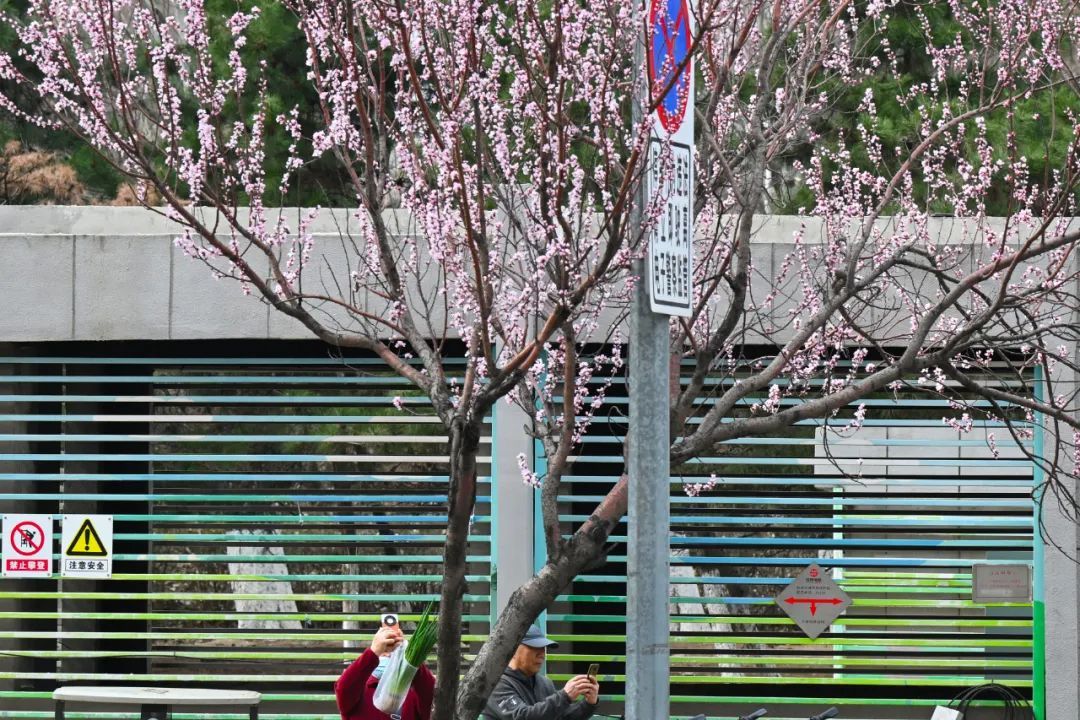 “真当我是冻梨了？”辽宁人这爆棚的幽默感！