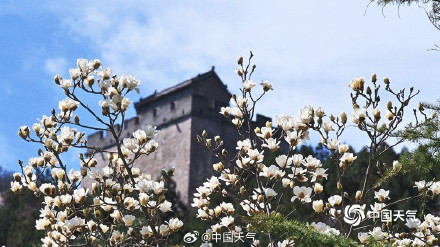 列车穿越花海 北京居庸关花海栈道开放