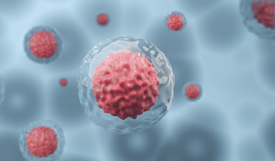 蝌学荐书 | 这本书可能救你的命：幽默有趣的人体维修指南