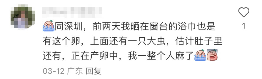 头皮发麻!最近,很多人衣服上都有…… 头皮发麻!最近,很多人衣服上都有……