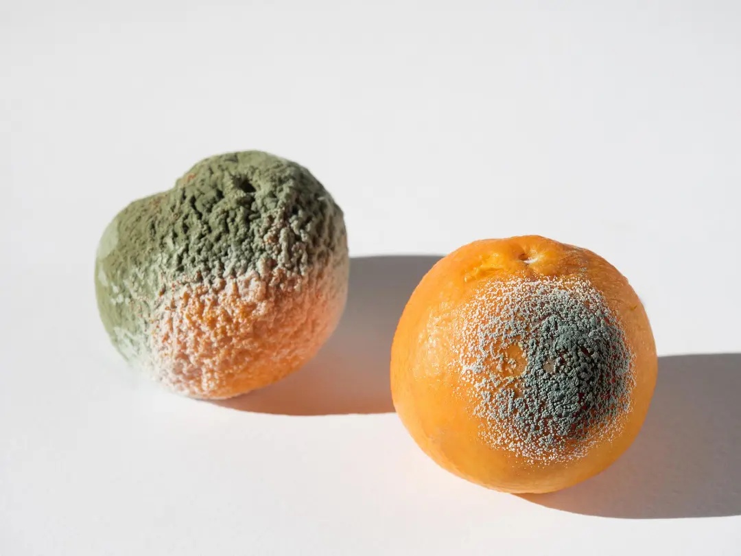 这种橘子网上卖600块？专家紧急提醒！