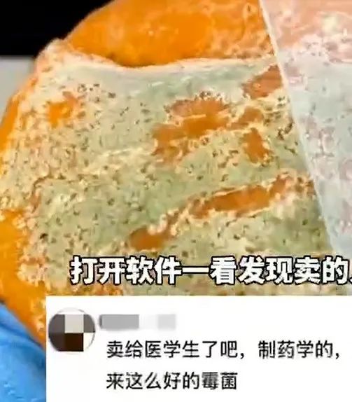 这种橘子网上卖600块？专家紧急提醒！