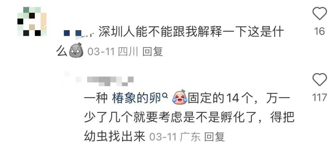 头皮发麻!最近,很多人衣服上都有…… 头皮发麻!最近,很多人衣服上都有……