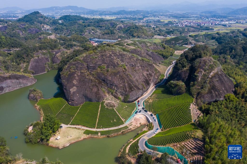 浙江武义：有机茶乡春季茶旅融合促消费